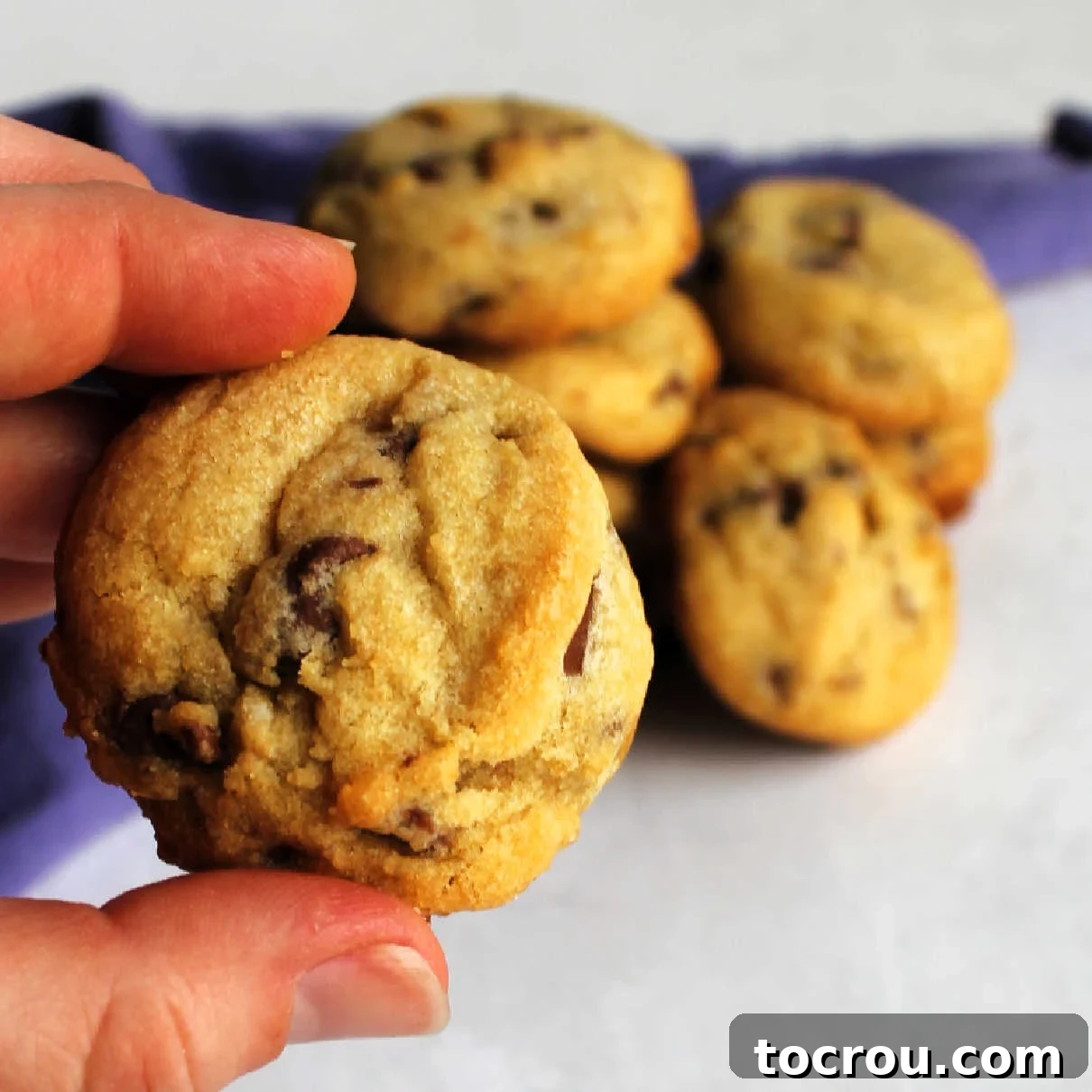 Perfect Lard Chocolate Chip Cookie Hand holding a thick golden brown chocolate chip cookie, showcasing its perfect texture.