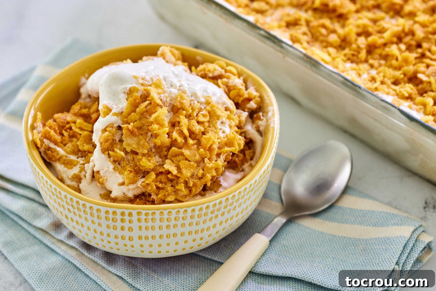 Serving of no-fry fried ice cream bars with a sweet caramelized cornflake mixture and fluffy cinnamon vanilla ice cream, ready to eat.