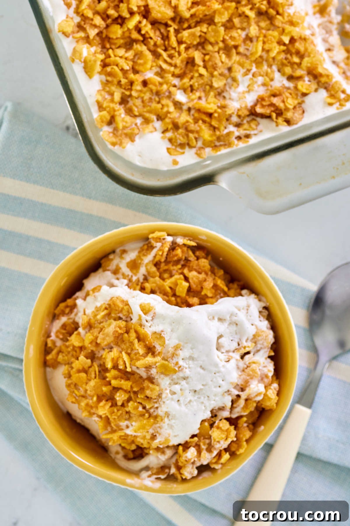 Looking down on a bowl of fried ice cream bars showing creamy ice cream texture and crunchy cornflake topping.