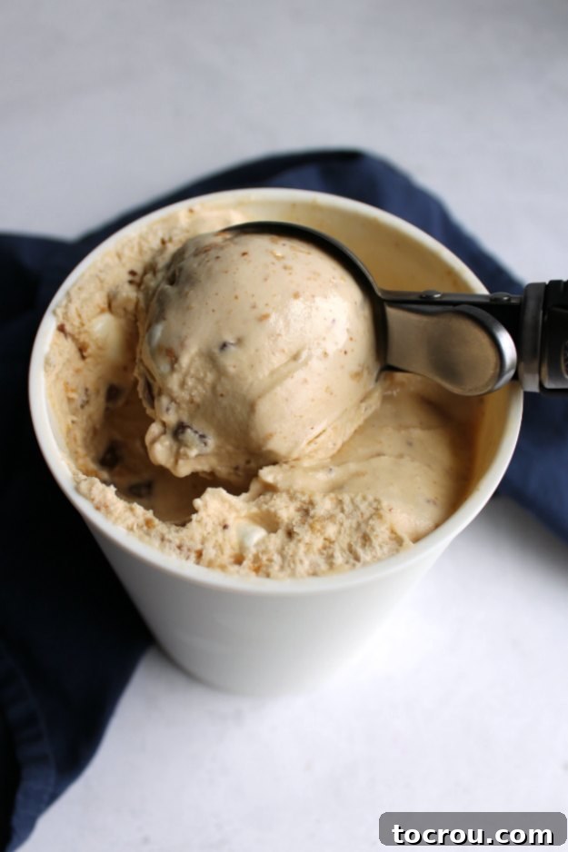 S'mores Ice Cream 2 An ice cream scoop retrieving a ball of S'mores ice cream from a storage container, showcasing its rich texture and inclusions.