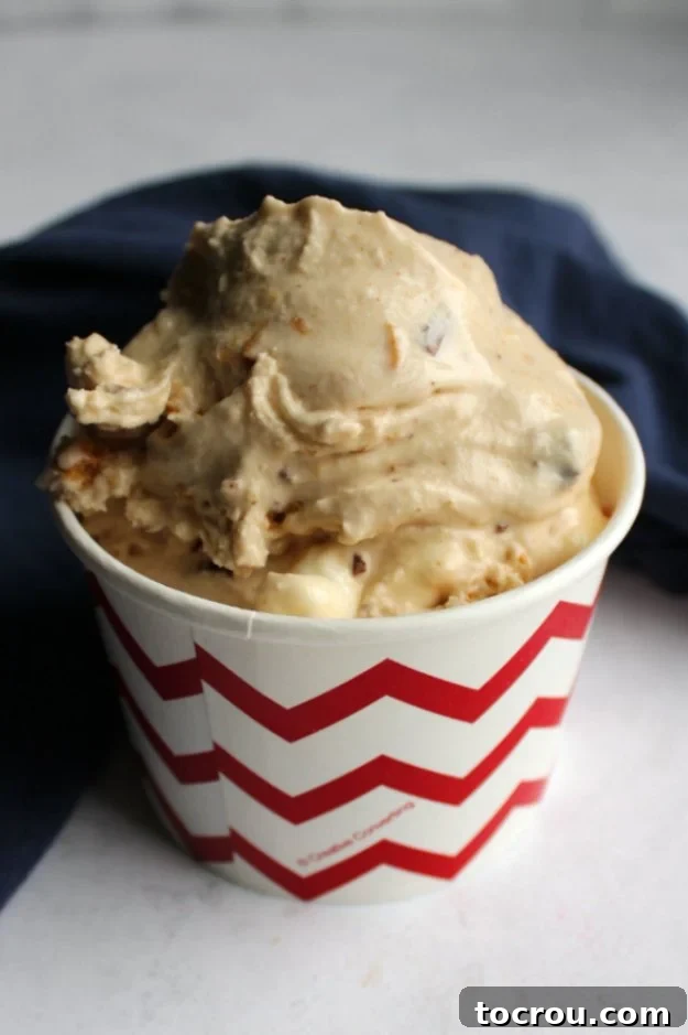 S'mores Ice Cream 3 A scoop of S'mores ice cream with a prominent toasted marshmallow base, served in a stylish chevron patterned cup.