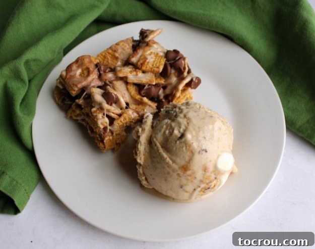 Creamy homemade ice cream with all of the flavor of s'mores. There are even toasted marshmallows in the base! It will remind you of those summer campfire nights. A plate featuring a S'mores cereal bar alongside a generous scoop of S'mores ice cream, highlighting their visual appeal.