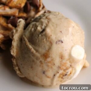 Close up of a scoop of S'mores ice cream featuring a base with toasted marshmallows, visible chunks of graham crackers, melted chocolate, and mini marshmallows.