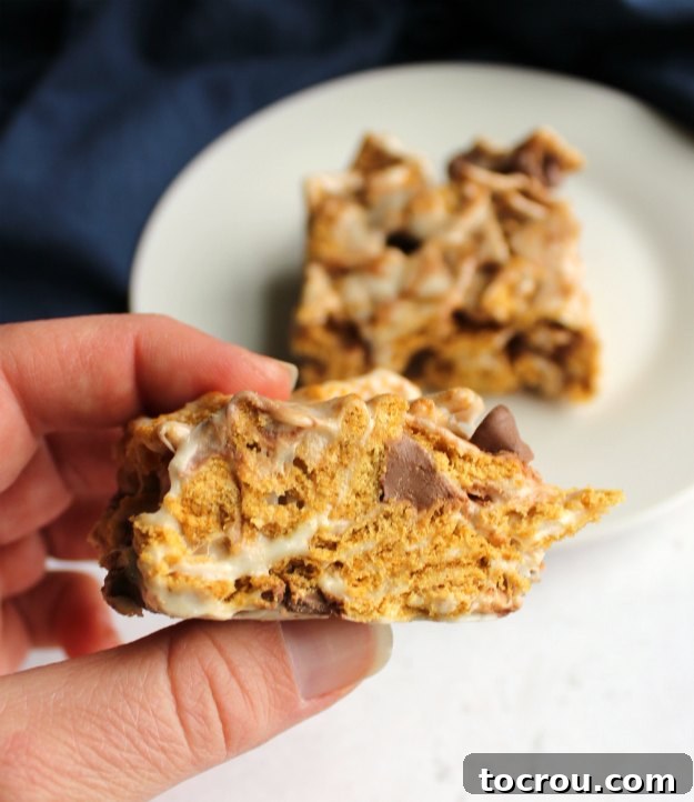 S'mores Bar Texture Close-up side view showcasing the distinct layers of golden graham cereal, fluffy marshmallows, and rich chocolate chips within a s'mores bar.
