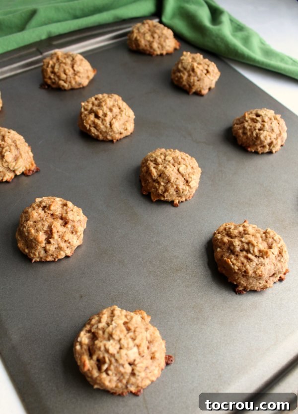 Freshly Baked Banana Cookies Freshly baked whole wheat banana bread cookies cooling on a wire rack after coming out of the oven.
