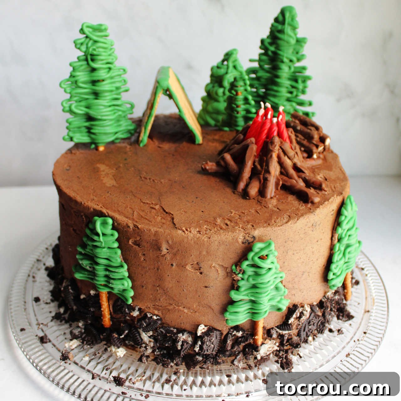 DIY Camping Birthday Cake Idea Delightful camping cake featuring pretzel trees, a vibrant campfire arrangement made with candles, and a charming graham cracker tent.