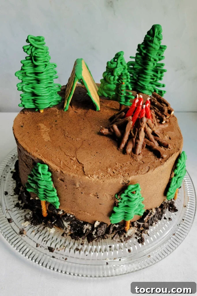 Camping Birthday Cake Decorations Overhead view of a beautiful camping cake with rich chocolate frosting, charming edible pretzel trees, a celebratory bonfire made of birthday candles, and a cute graham cracker tent.