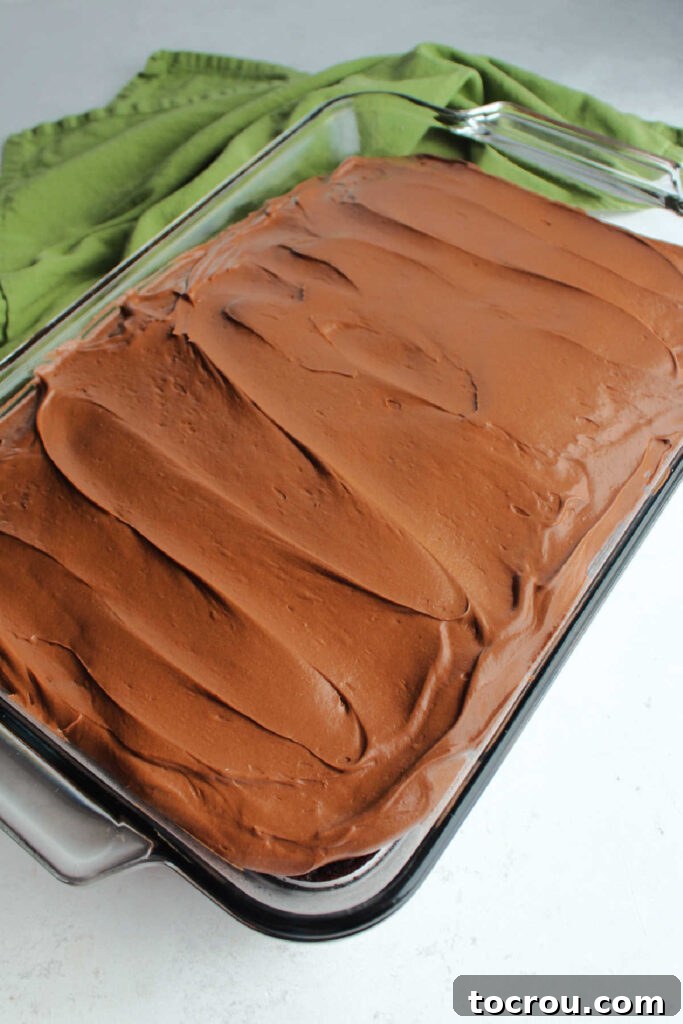 Decadent Chocolate Cream Cheese Frosting 7 Whole 9x13-inch cake covered with smooth chocolate cream cheese icing.