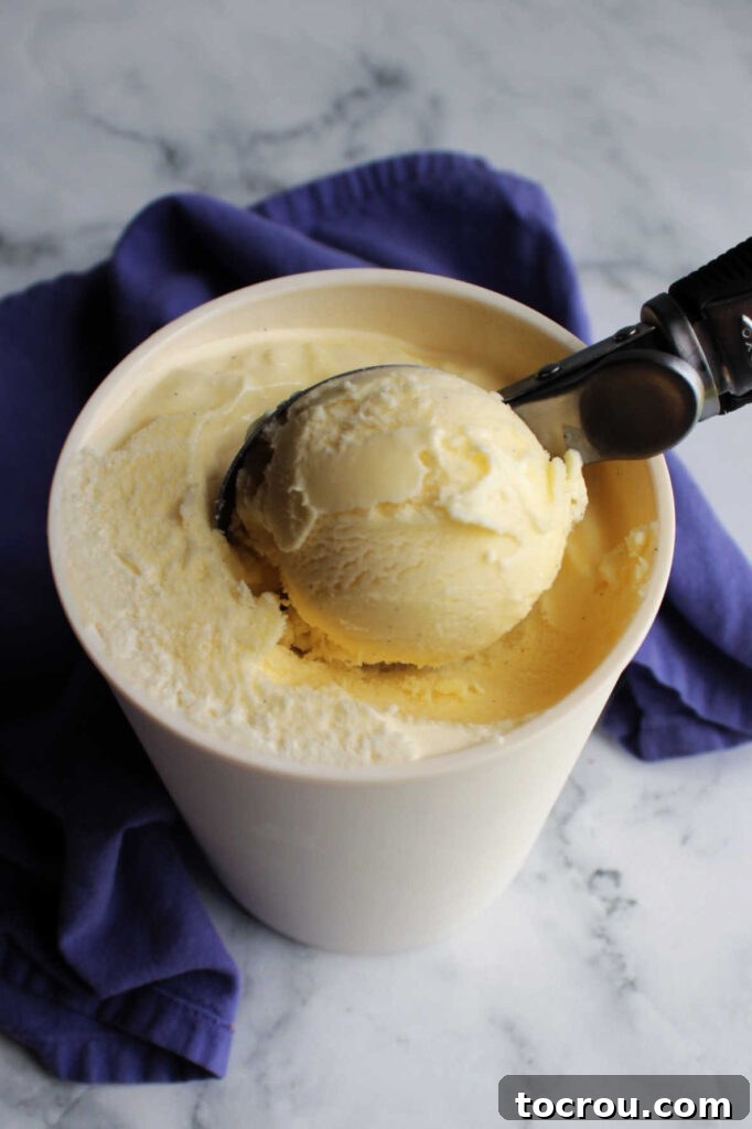 A classic ice cream scoop meticulously extracts the first serving of creamy vanilla ice cream from a deep storage container, revealing its smooth, pale texture.