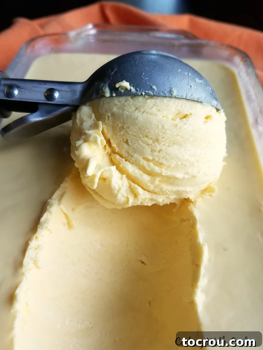 An ice cream scoop elegantly retrieves a generous scoop of vibrant orange cheesecake ice cream, highlighting its creamy texture and rich color.