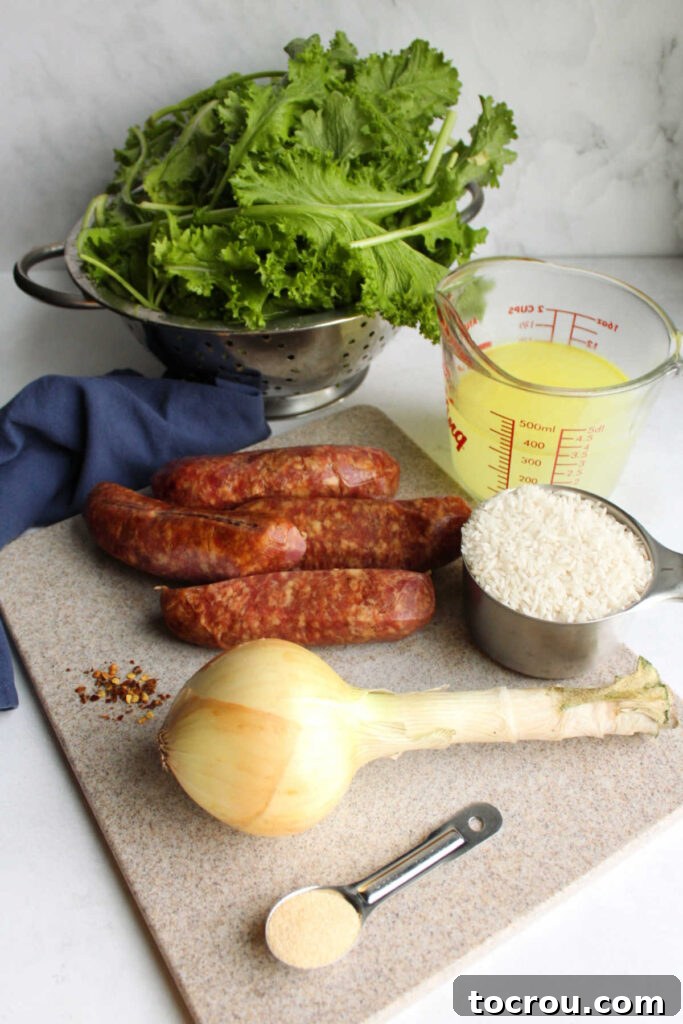 A vibrant flat lay shot showcasing the fresh ingredients laid out before cooking: a large bunch of mustard greens, a whole onion, a package of kielbasa sausage, uncooked rice, and a carton of chicken broth, alongside various seasonings. All are ready to be transformed into a delicious dinner.