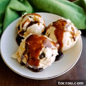Bowl of peanut butter chocolate chip no churn ice cream topped drizzled with homemade hot fudge sauce.