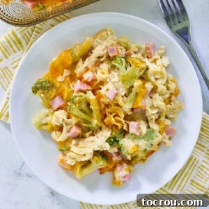 Plate filled with creamy casserole with egg noodles, broccoli, cheese, creamy gravy and cheese, ready to eat.