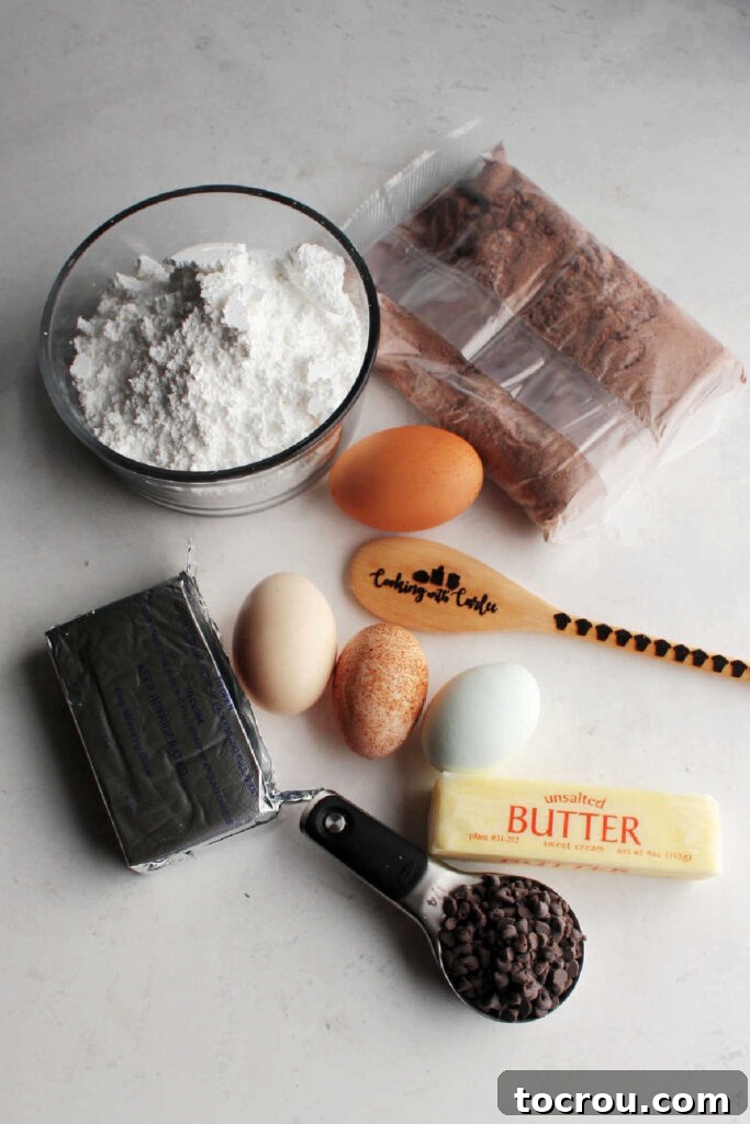 A vibrant display of fresh ingredients for Chocolate Chip Gooey Butter Cake, including a chocolate cake mix, butter, cream cheese, eggs, powdered sugar, vanilla extract, and mini chocolate chips.