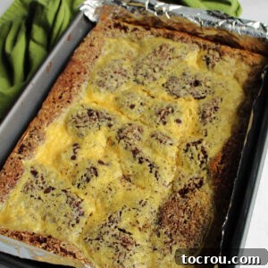 A freshly baked pan of Chocolate Chip Gooey Butter Cake, with a perfectly set chocolate crust and a golden-brown, creamy chocolate chip filling.