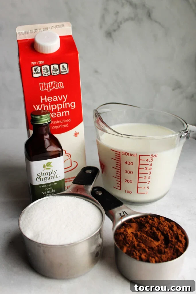 Ingredients for chocolate ice cream including cream, milk, sugar, vanilla extract, and cocoa powder, neatly arranged on a counter.