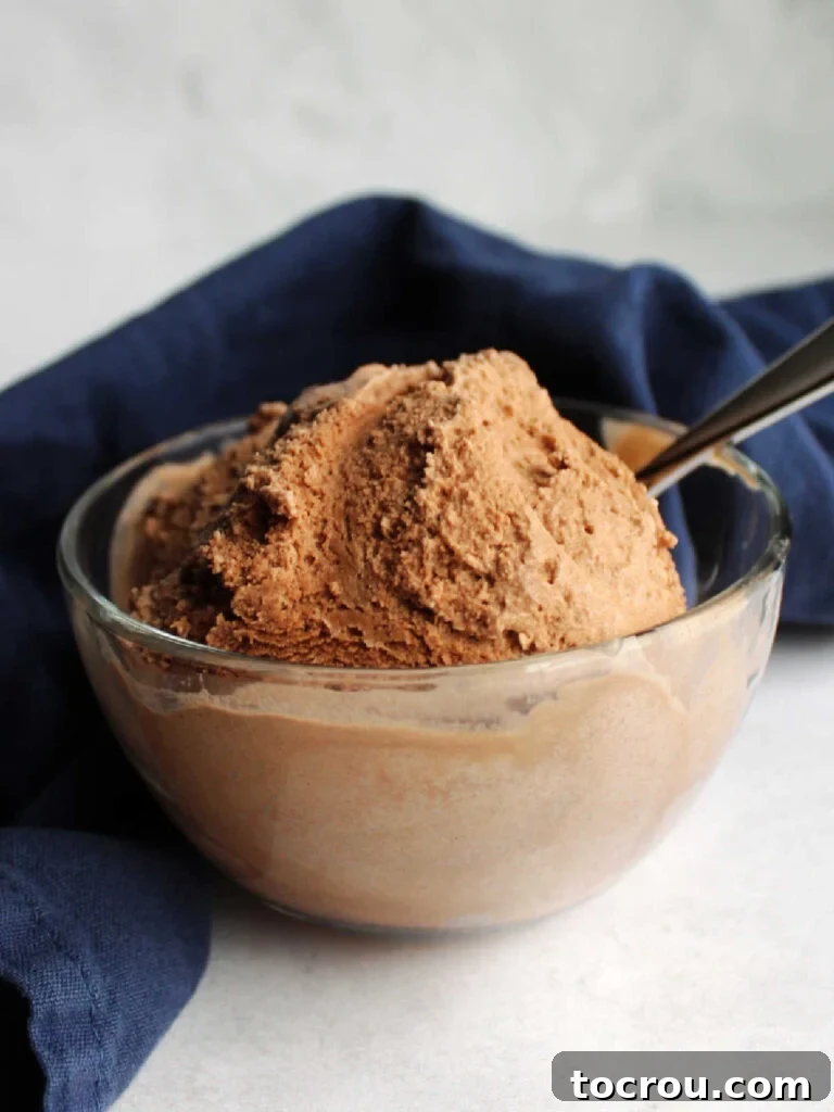 A small glass bowl filled with rich, dark homemade chocolate ice cream, showcasing its appealing texture.