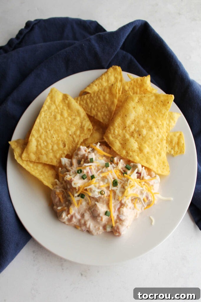 Fiesta Cream Dream 3 Plate with tortilla chips and a pile of fiesta dip topped with shredded cheese and chives.