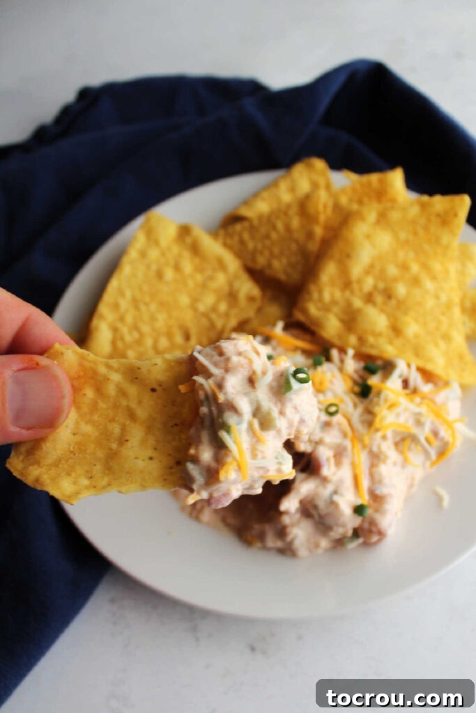 Fiesta Cream Dream 8 Hand dipping chip into cheesy sour cream dip.