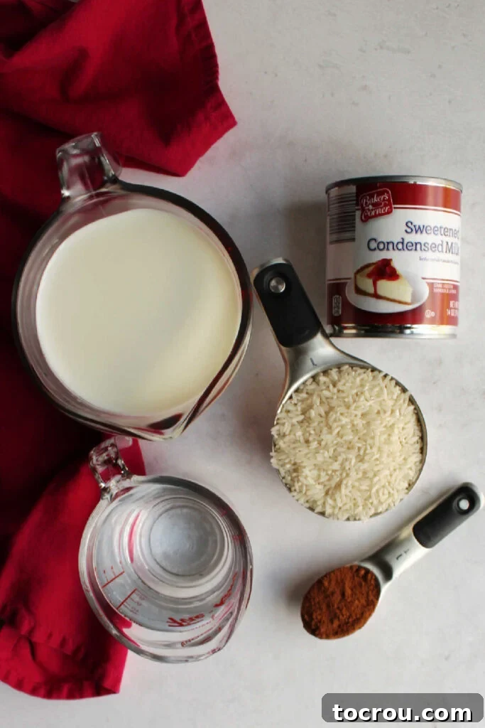 Decadent Instant Pot Chocolate Rice Pudding 4 Milk, rice, water, cocoa powder and condensed milk ready to be made into rice pudding.