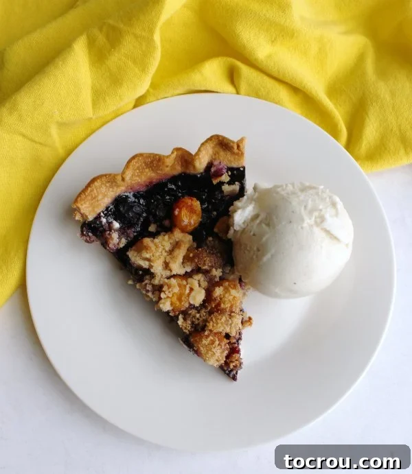 A delectable slice of goldenberry and blueberry pie, topped with a rustic crumble and accompanied by a scoop of melting vanilla ice cream, presented on a pristine white plate.