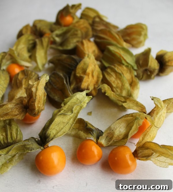 A collection of ground cherries, some still nestled in their distinctive papery husks, alongside several peeled golden berries showcasing their vibrant yellow fruit.