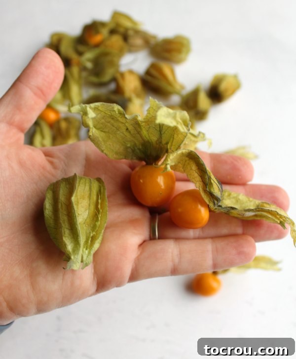 A single goldenberry, partially encased in its papery husk, with two other peeled goldenberries resting delicately on a hand, highlighting their readiness for use.