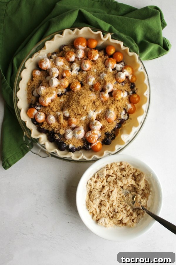 A nine-inch pie shell carefully filled with a generous layer of mixed goldenberries and blueberries, lightly dusted with a blend of brown sugar and flour, with a separate bowl of golden, crumbly topping waiting to be added.