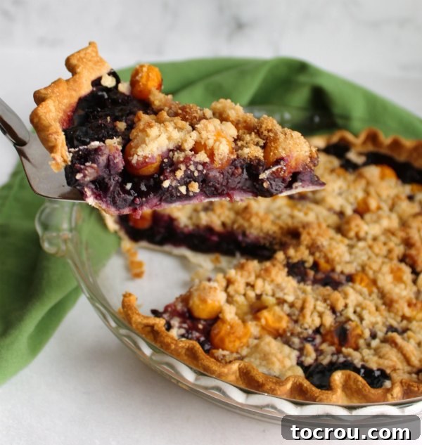 A perfect slice of warm goldenberry and blueberry crumble pie being carefully lifted from the pie pan, revealing its juicy fruit filling and golden streusel topping, ready to be served.