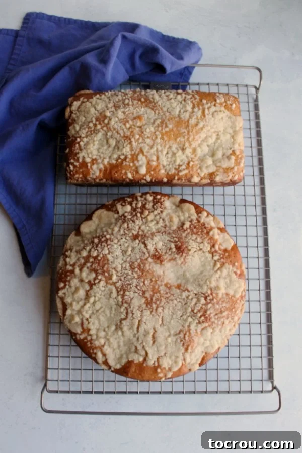 A golden-brown slice of Polish Placek, ready to be savored. Close-up of a perfectly baked Polish Placek, showing its golden-brown crumb topping and soft, airy texture.