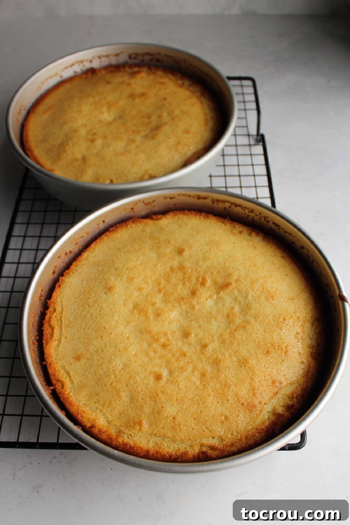 Lemon velvet cakes fresh from the oven with golden brown edges and lightly golden tops.