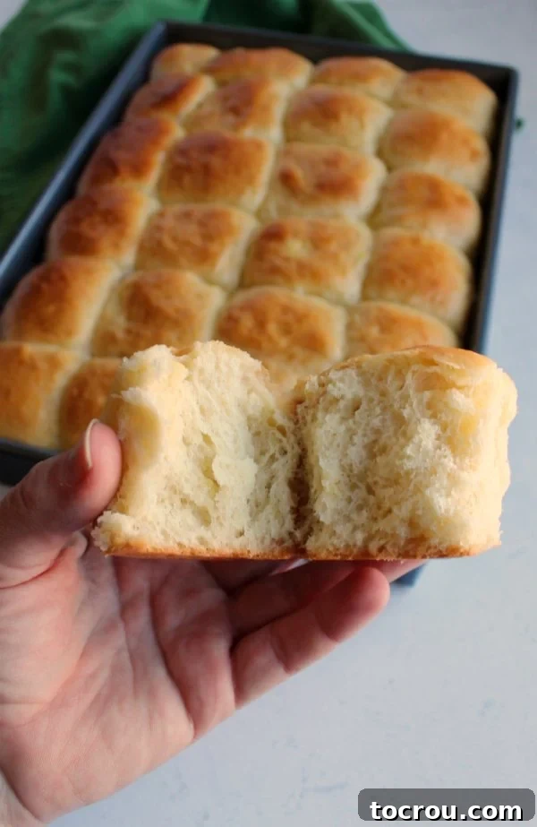 A hand holding a homemade Hawaiian roll, revealing its soft, golden interior.