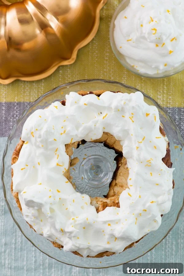 A forgotten torte, beautifully topped with a generous layer of whipped cream.
