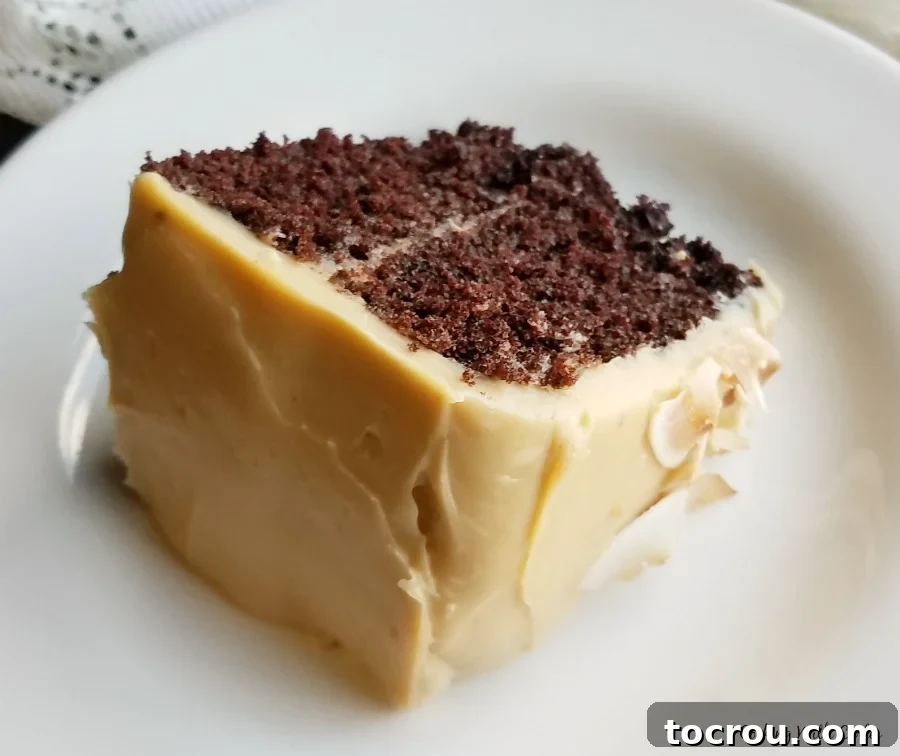 Rich Chocolate Comfort Cake with Velvety Frosting 3 A tempting slice of devilishly good chocolate cake, generously topped with a rich caramel frosting, promising a perfect blend of flavors.