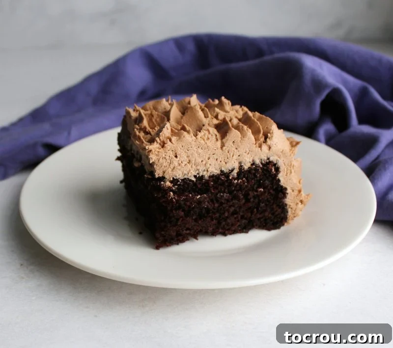 Rich Chocolate Comfort Cake with Velvety Frosting 4 A generous slice of chocolate sheet cake, elegantly topped with a light and fluffy chocolate buttercream, showcasing its tempting texture.