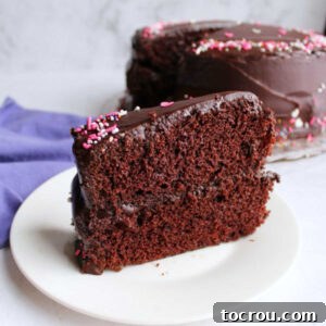 Rich Chocolate Comfort Cake with Velvety Frosting 9 slice of moist chocolate layer cake with shiny chocolate frosting and sprinkles.