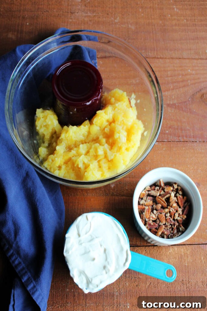Ingredients for creamy frozen cranberry pineapple salad: bowl of crushed pineapple, vibrant cranberry sauce, crunchy pecans, and creamy sour cream.