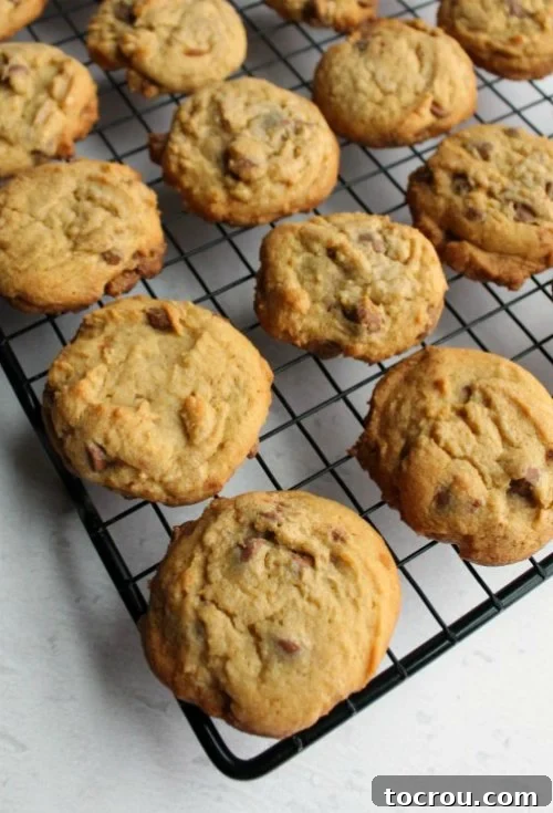 freshly baked chewy vanilla pudding chocolate chip cookies on a cooling rack