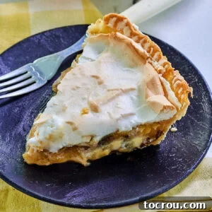 A perfectly portioned slice of sour cream raisin pie, elegantly topped with a delicate meringue, resting on a small dessert plate with a fork, inviting a delightful taste.