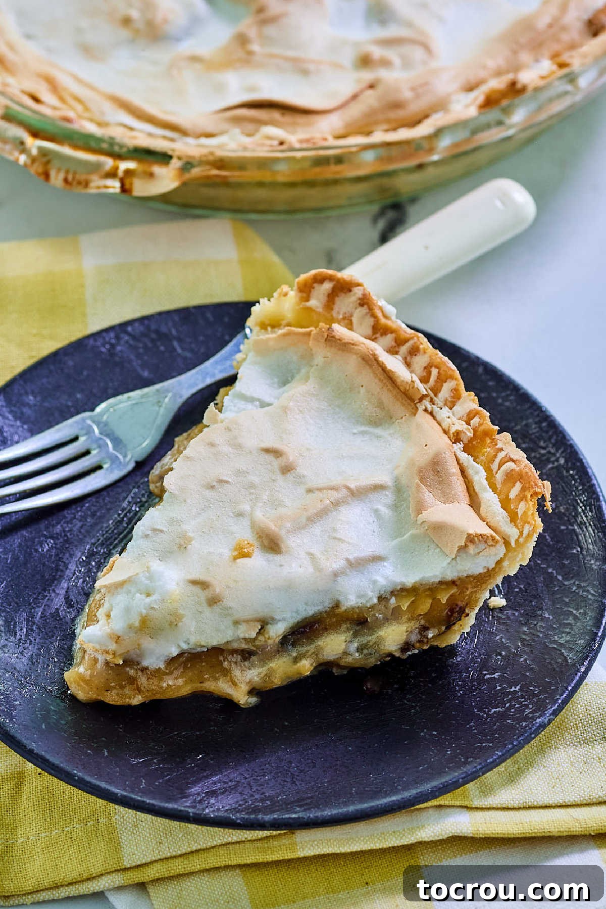 A close-up of a piece of sour cream and raisin pie, featuring a creamy filling dotted with raisins, topped with a golden-brown, fluffy meringue and a fork, inviting a taste.