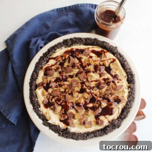 Whole no bake peanut butter pie with chocolate oreo crust and peanut butter cups and hot fudge drizzled on top.