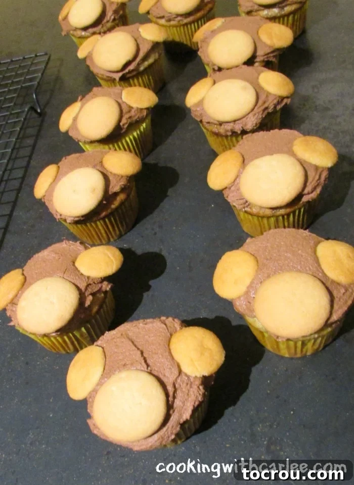 Chocolate frosted cupcakes with vanilla wafers arranged as monkey faces, ready for eyes and details.