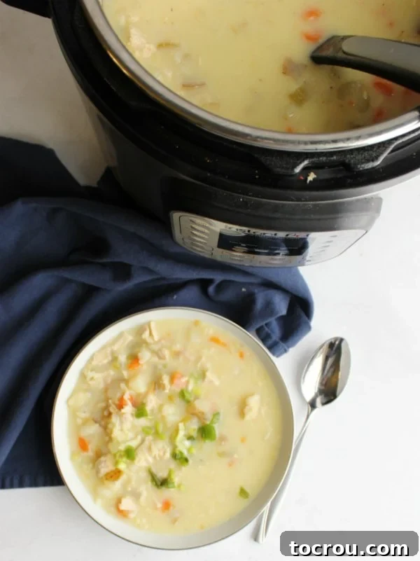 Instant Pot Greek Lemon Chicken Soup A fresh bowl of Greek lemon chicken soup is served, with the Instant Pot visible in the background, signaling a warm meal ready to be enjoyed.