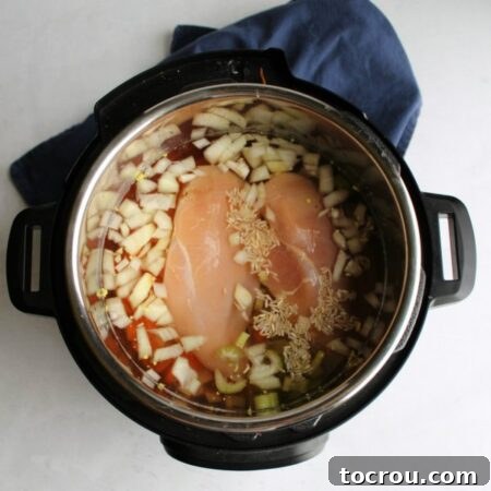 Chicken breasts and vegetables immersed in broth inside an Instant Pot, poised for cooking.