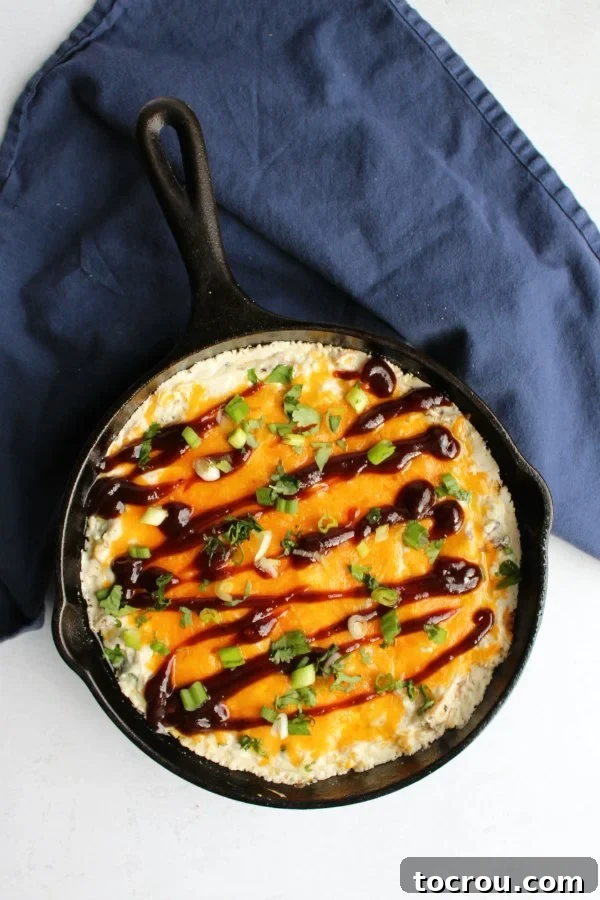 Ultimate Creamy Pulled Pork Dip 4 A close-up of warm pulled pork dip, garnished beautifully with a drizzle of barbecue sauce, fresh cilantro, and sliced green onions.