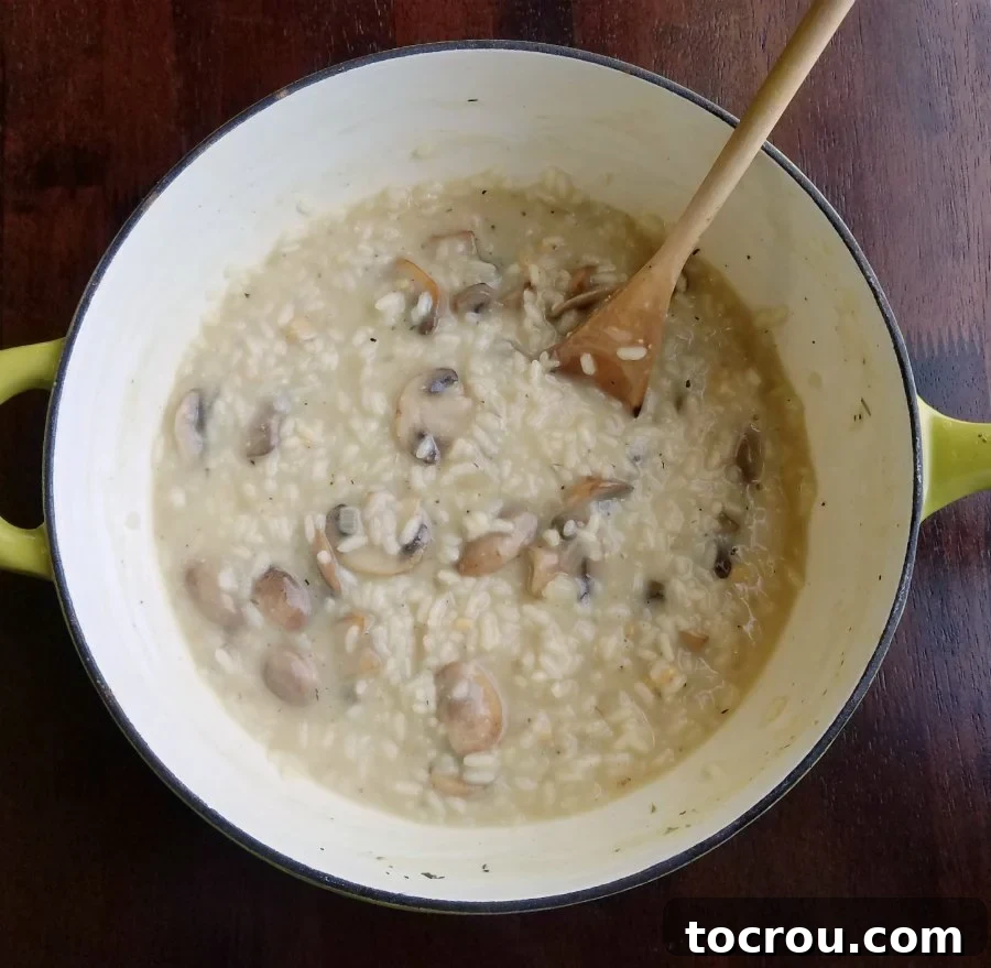 Ready to Serve Risotto Pot of creamy looking mushroom risotto with sliced mushrooms, ready to be served in a large, shallow bowl.