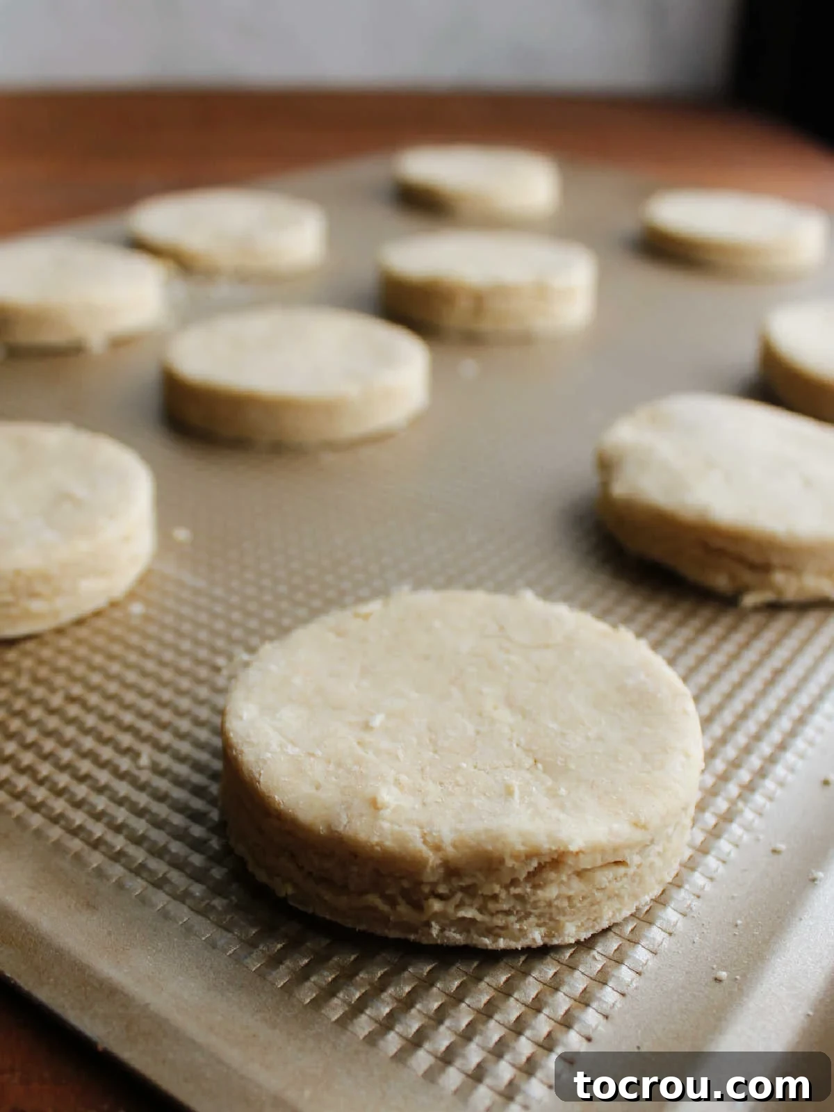 Biscuit Dough Rounds on Baking Sheet Circles of biscuit dough on baking sheet, ready to go in the oven.
