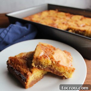 Dessert bars with layers of vanilla cake mix and chocolate peanut butter fudge on plate, ready to eat.