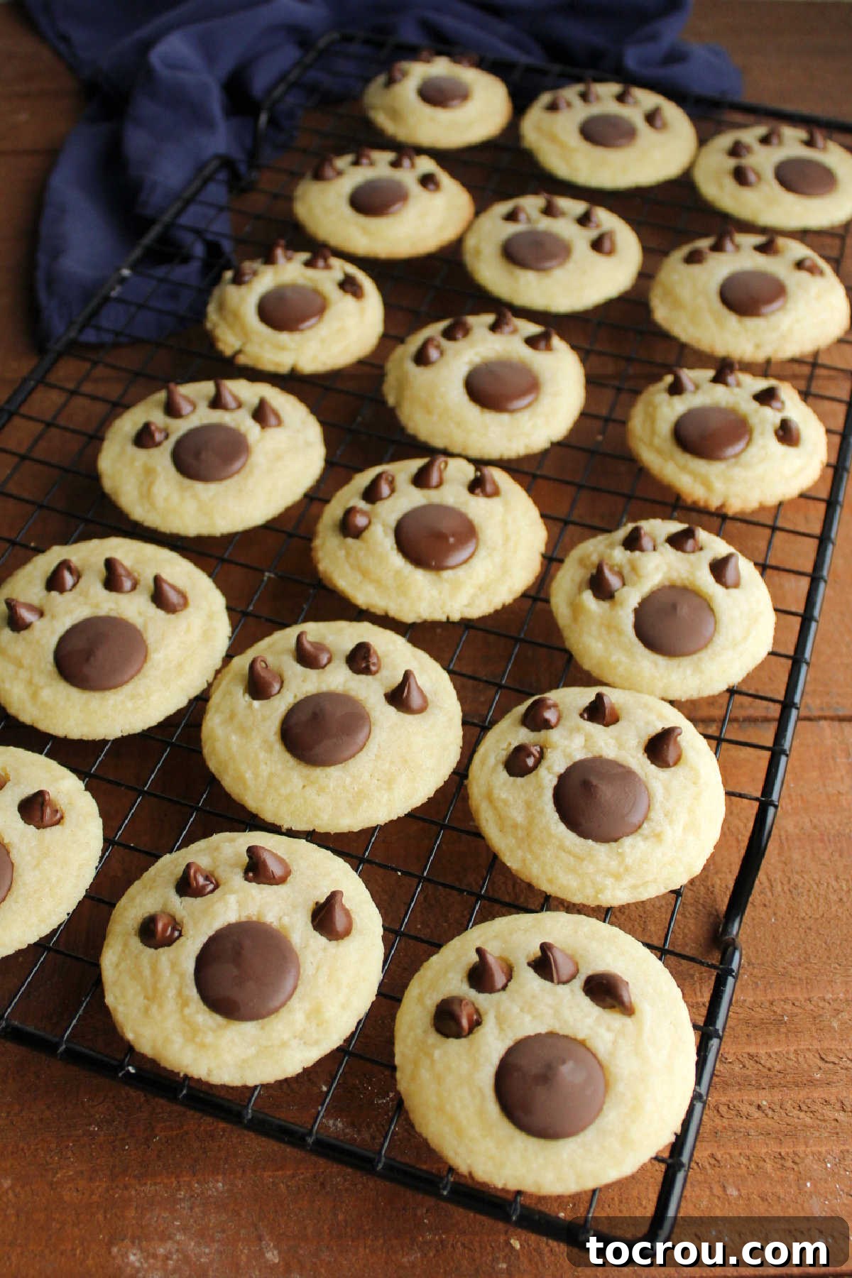 Sweet Vanilla Paw Delights 8 A cooling rack filled with an array of freshly decorated paw print cookies, patiently waiting for the chocolate to cool and set completely.