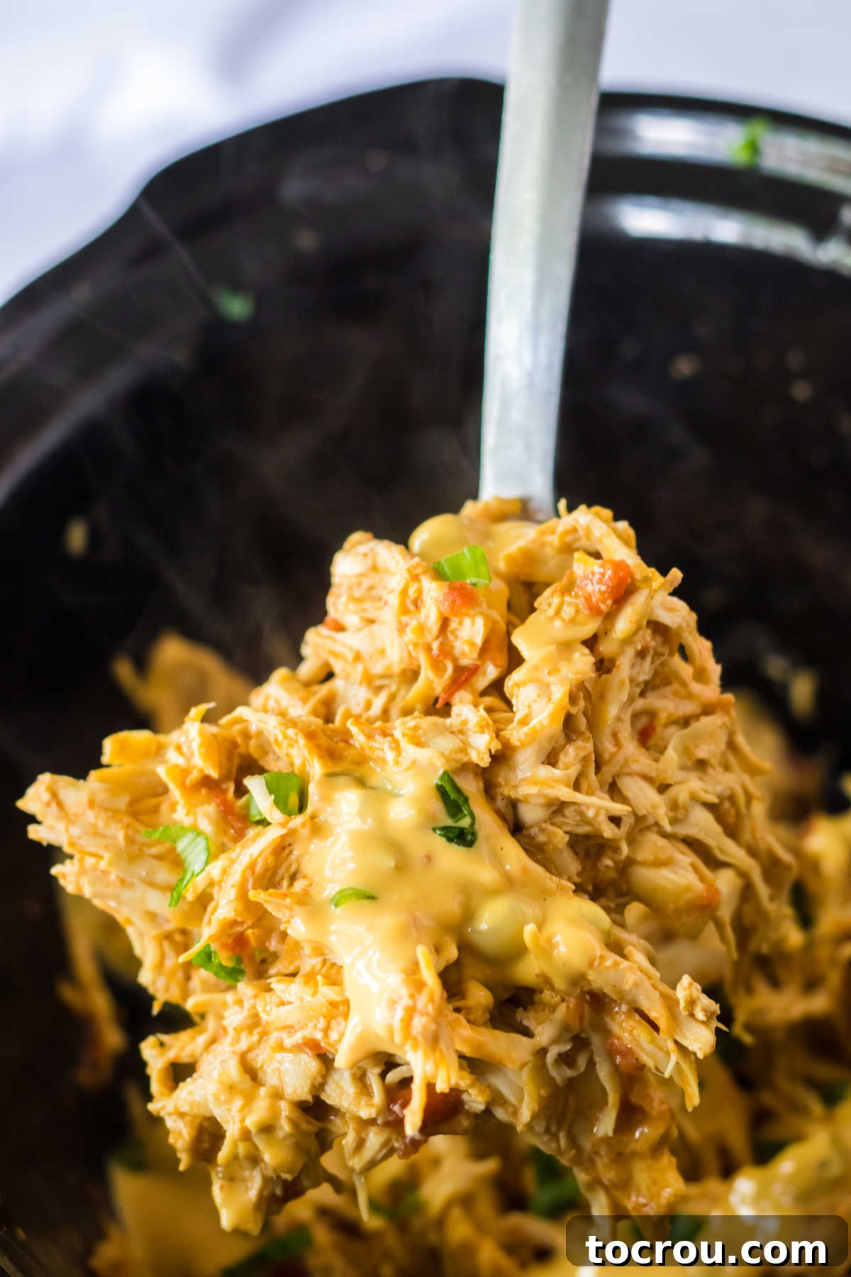 Spoonful of Queso Chicken A generous spoonful of rich, shredded queso chicken, held aloft and ready to be placed into a taco or a bowl, showcasing its creamy texture.